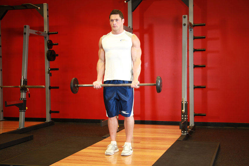 Barbell Biceps Curl start and end position