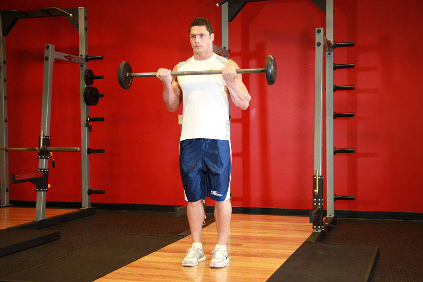 Barbell Biceps Curl start and end position