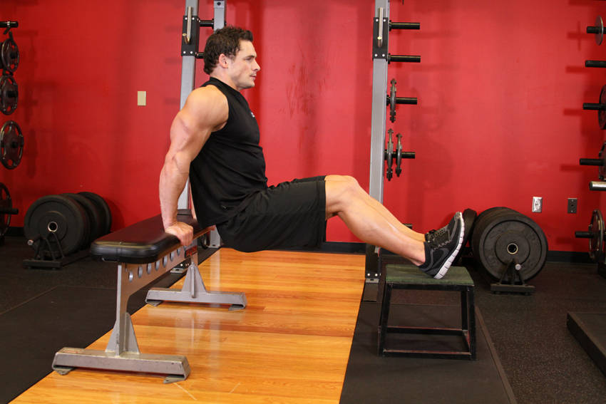 Bench Dips start and end position