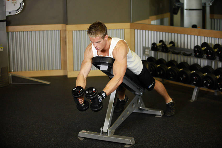 Bent-Over Dumbbell Reverse Fly start and end position
