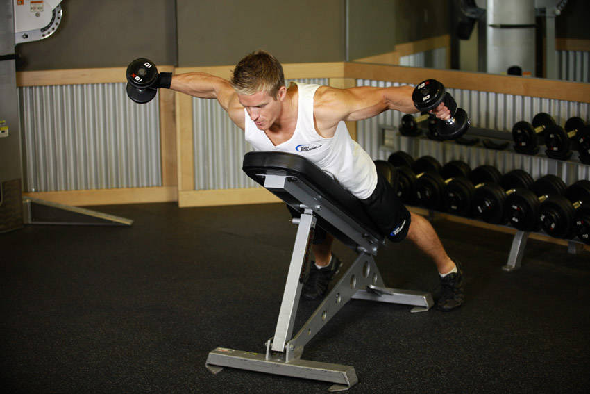 Bent-Over Dumbbell Reverse Fly start and end position