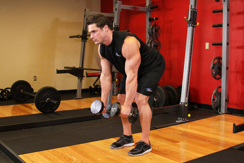Bent Over Two-Dumbbell Row start and end position