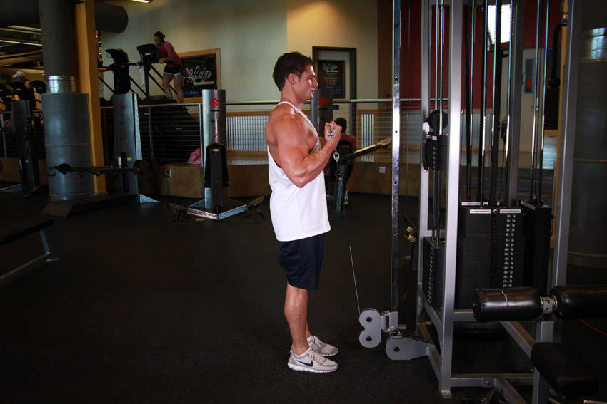 Cable Biceps Curl start and end position