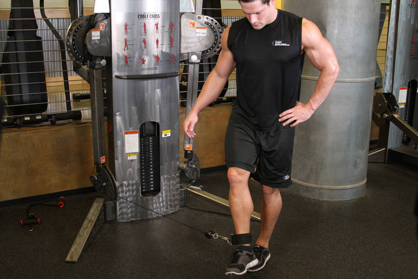 Cable Hip Adduction start and end position