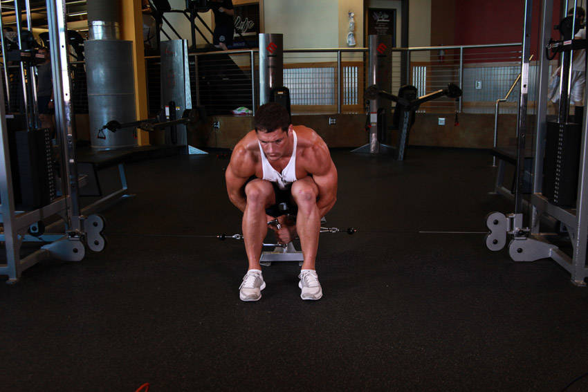 Cable Lateral Raise start and end position