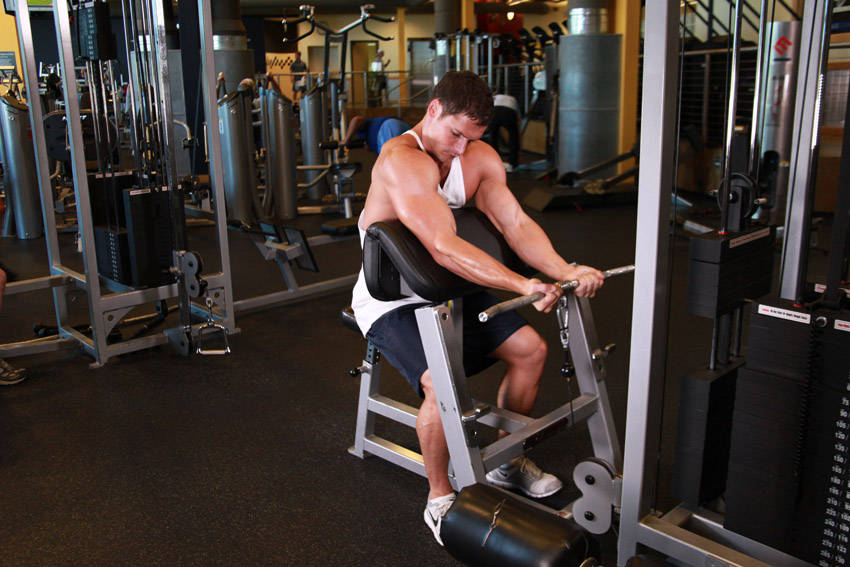 Cable Preacher Curl start and end position