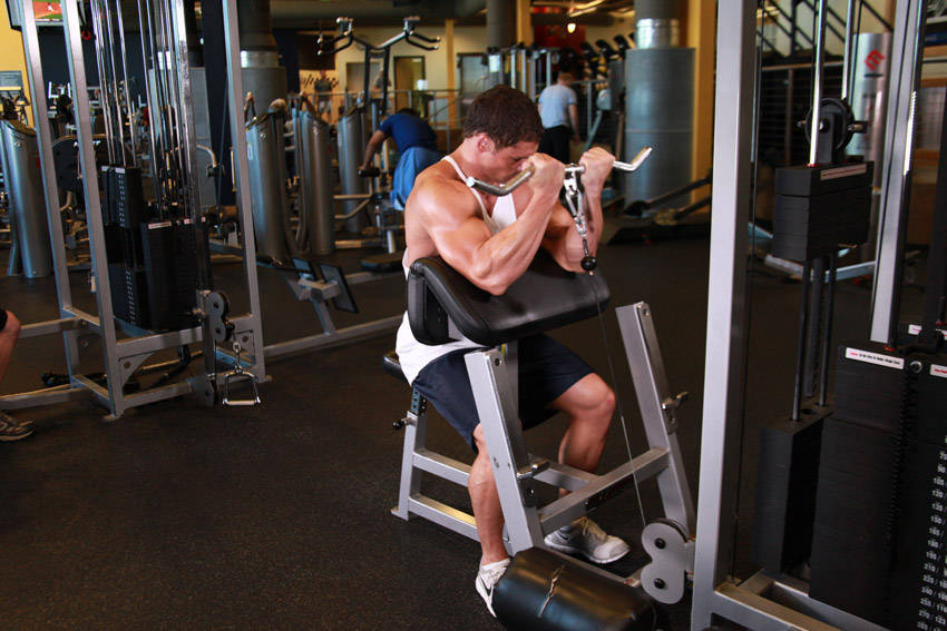 Cable Preacher Curl start and end position