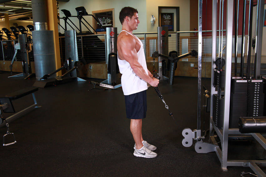 Cable Rope Hammer Curl start and end position