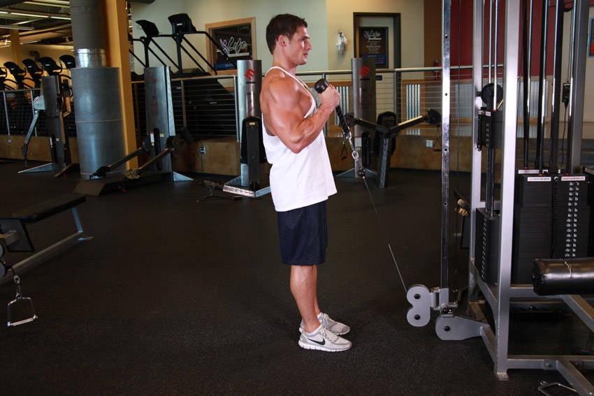 Cable Rope Hammer Curl start and end position