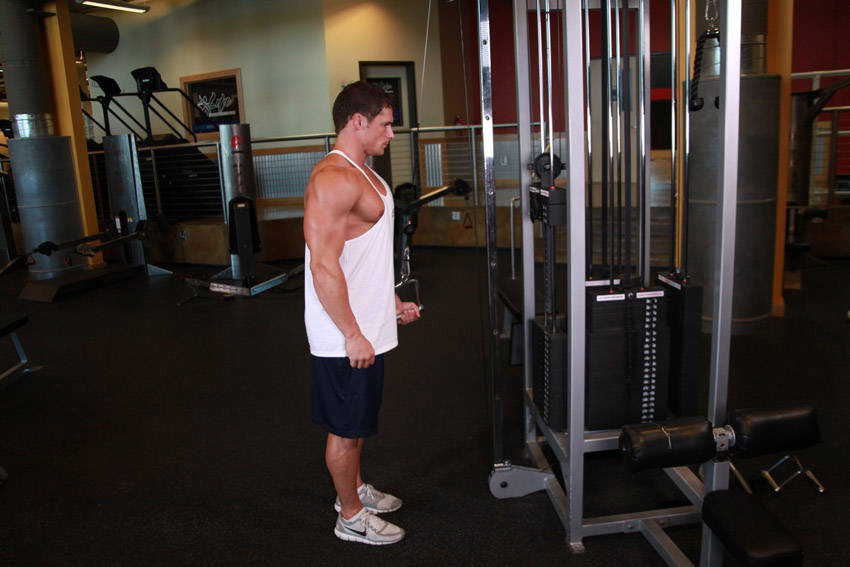 Cable Single-Arm Triceps Pushdown start and end position