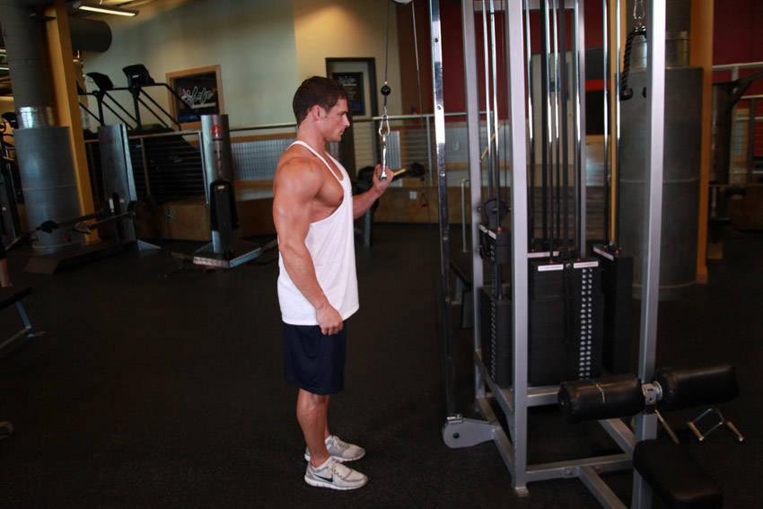 Cable Single-Arm Triceps Pushdown start and end position