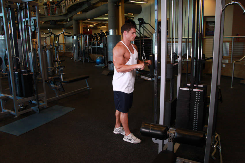 Cable Triceps Pushdown start and end position