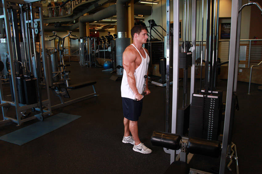Cable Triceps Pushdown start and end position