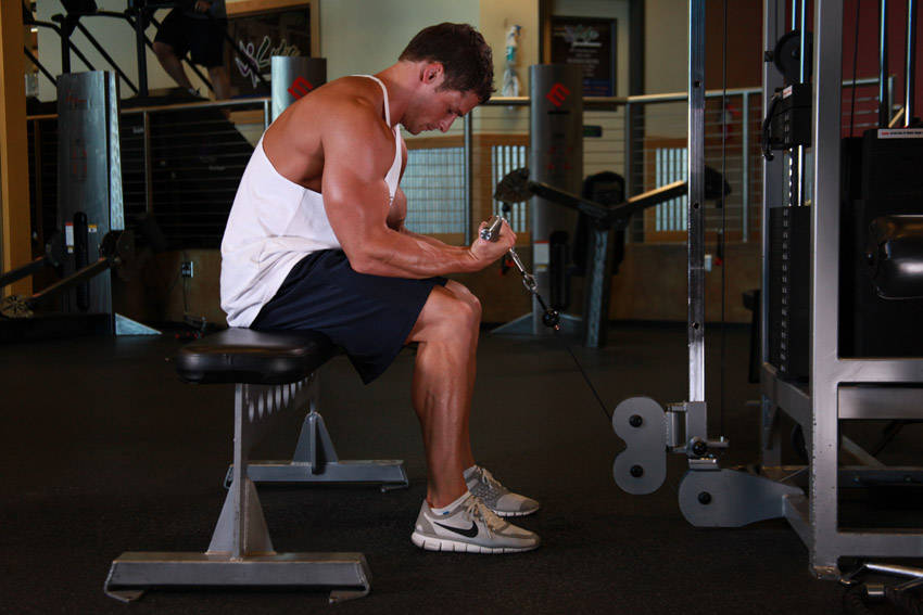 Cable Wrist Curl start and end position