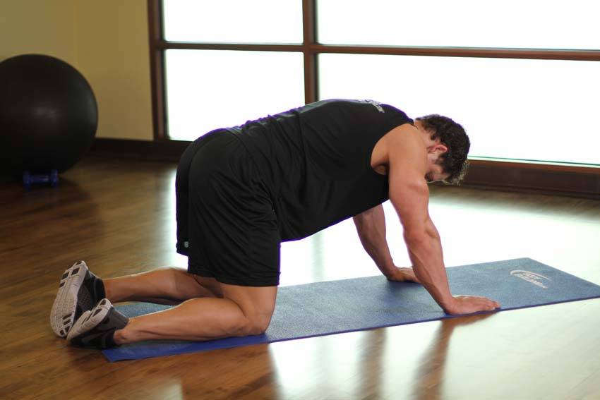 Cat Stretch start and end position