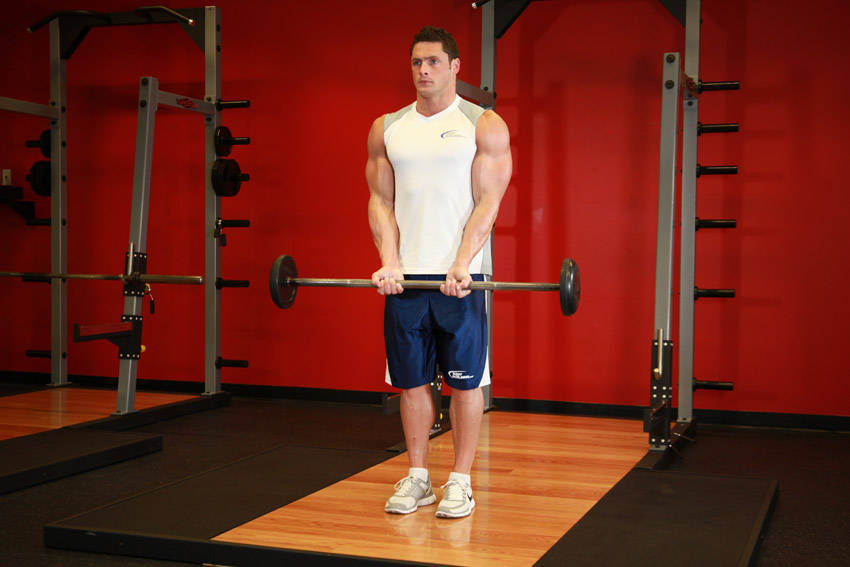 Close-Grip Standing Barbell Curl start and end position