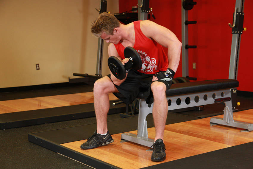 Concentration Curl start and end position