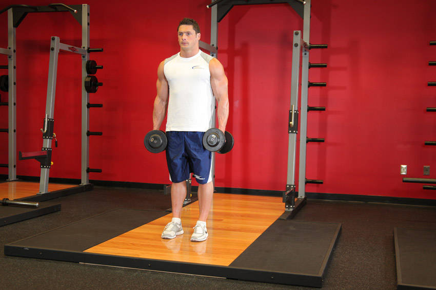 Dumbbell Biceps Curl start and end position