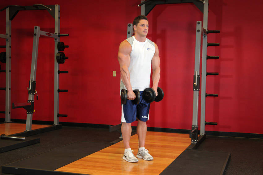 Dumbbell Front Raise start and end position