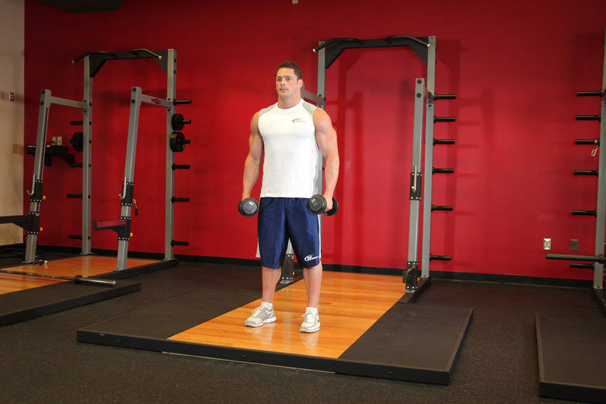 Dumbbell Lateral Raise start and end position