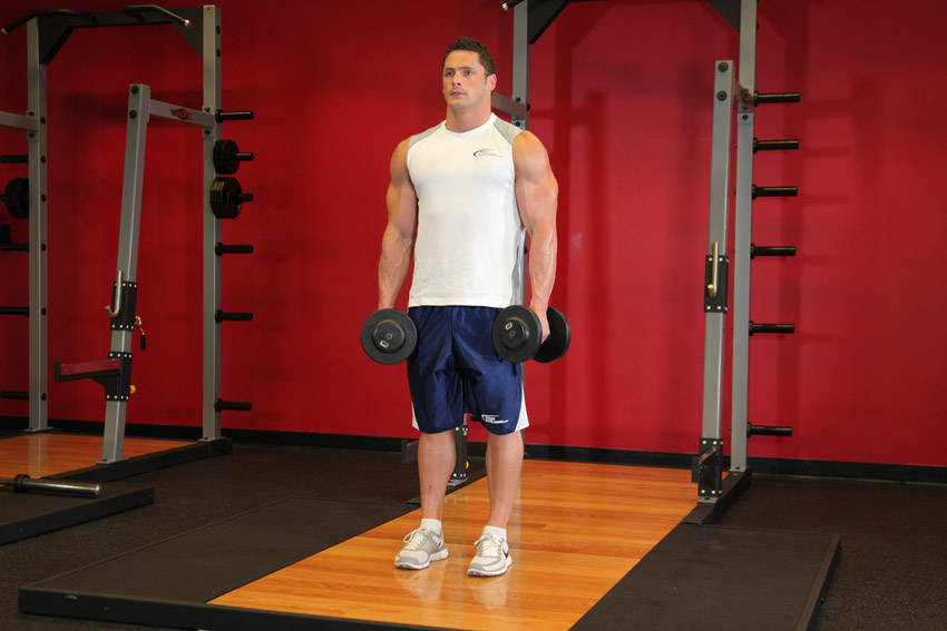 Dumbbell Shrug start and end position