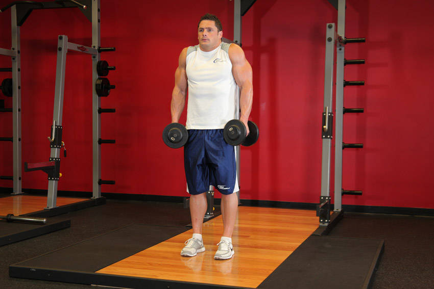 Dumbbell Shrug start and end position