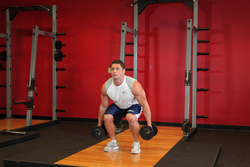 Dumbbell Squat start and end position
