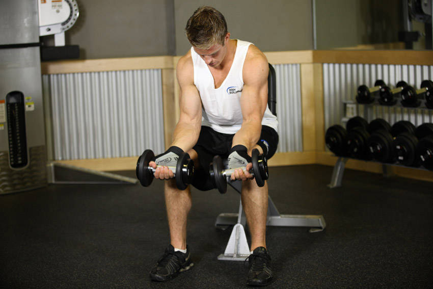 Dumbbell Wrist Curl start and end position