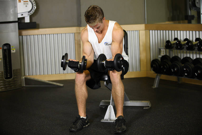 Dumbbell Wrist Curl start and end position