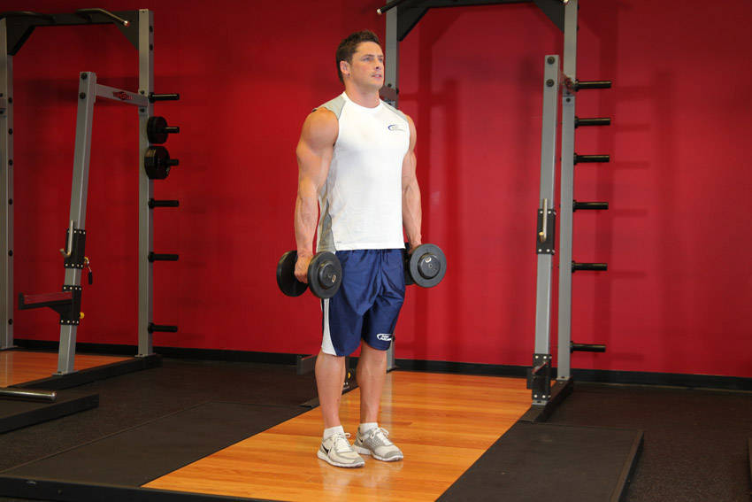 Hammer Curl start and end position