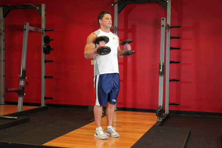 Hammer Curl start and end position