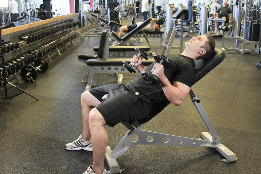Incline Hammer Curls start and end position