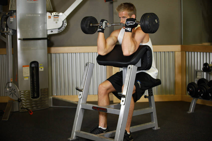 Preacher Curl start and end position