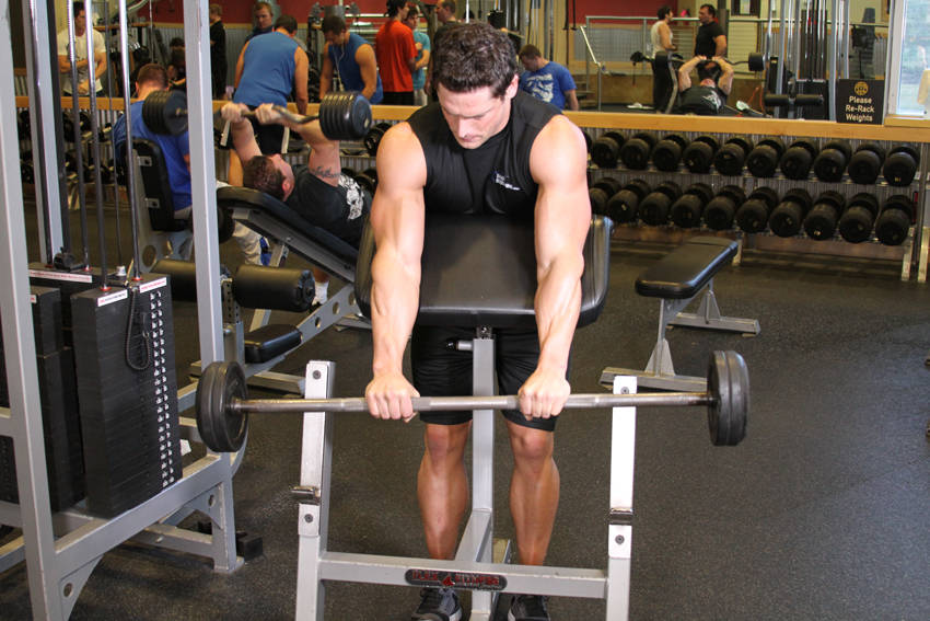 Ters Tutuş Preacher Curl hareketi başlangıç ve bitiş pozisyonu
