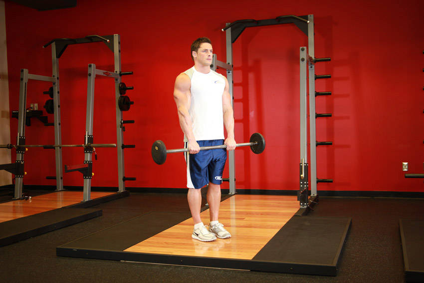 Reverse Curl start and end position
