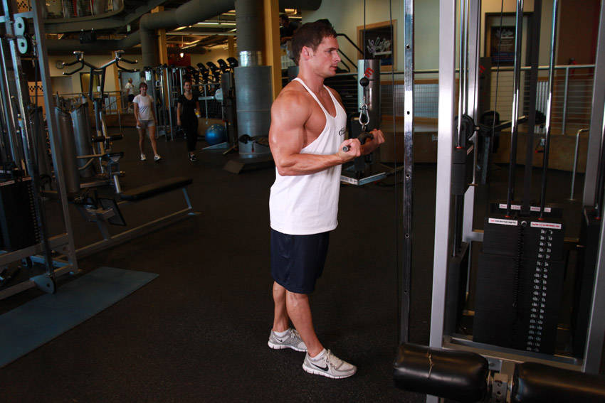 Reverse Grip Triceps Pushdown start and end position