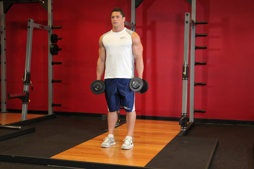 Reverse Lunge start and end position