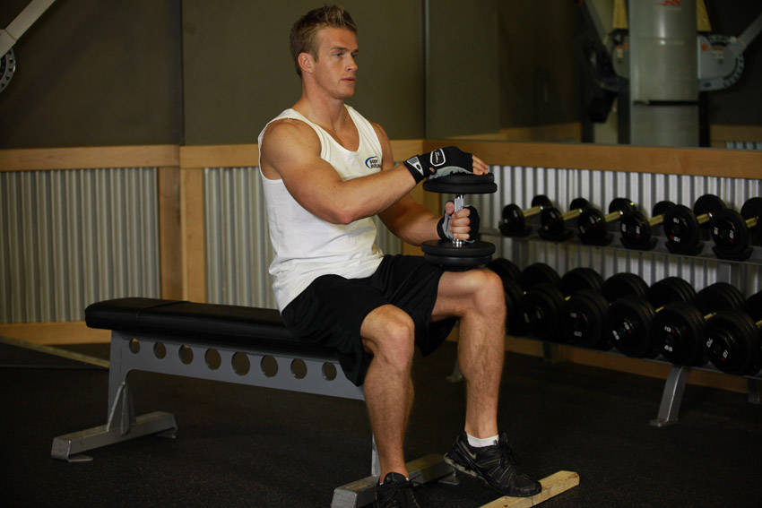 Seated Calf Raise (Dumbbell) start and end position