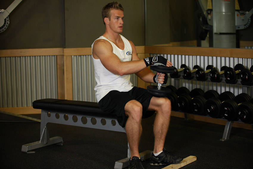 Seated Calf Raise (Dumbbell) start and end position