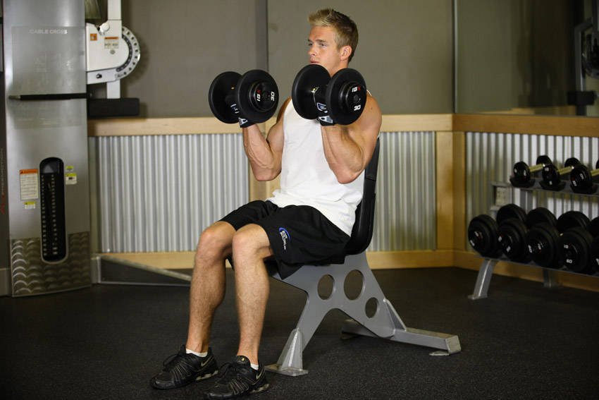 Seated Dumbbell Curl start and end position