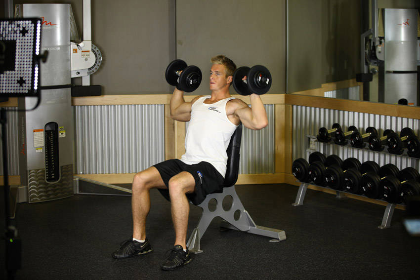 Seated Dumbbell Shoulder Press start and end position