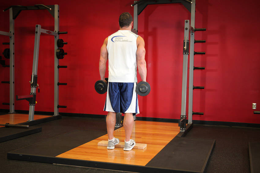 Standing Dumbbell Calf Raise start and end position