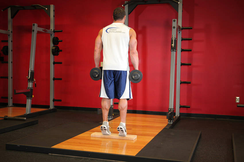 Standing Dumbbell Calf Raise start and end position