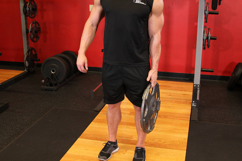 Standing Olympic Plate Hand Squeeze start and end position