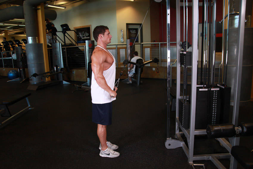 Straight-Arm Pulldown start and end position