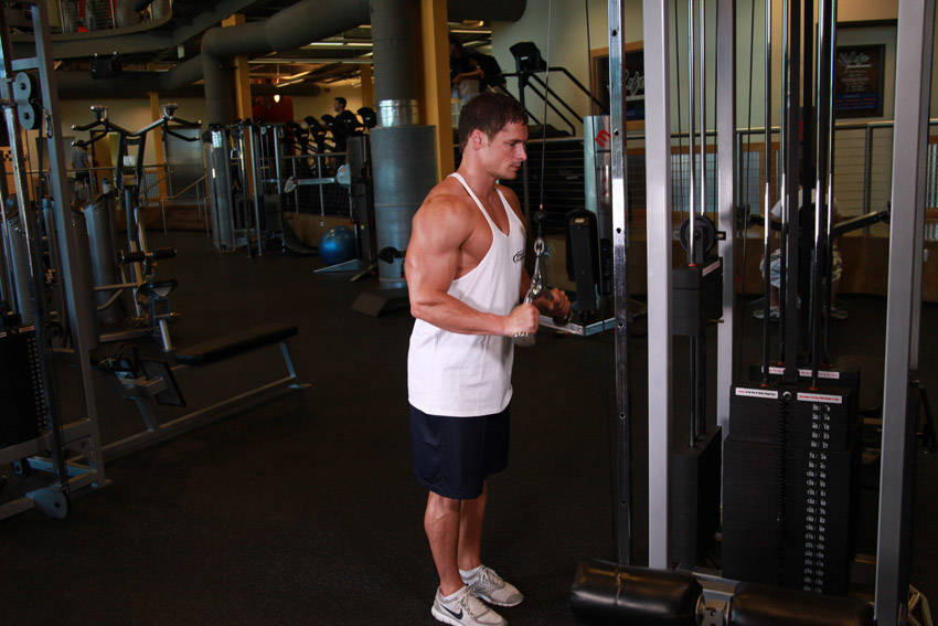 Triceps Pushdown - V-Bar Attachment start and end position