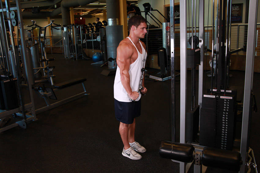 Triceps Pushdown - V-Bar Attachment start and end position