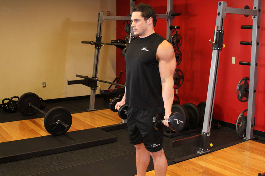Zottman Curl start and end position