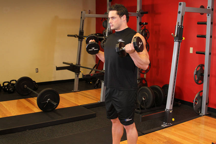 Zottman Curl start and end position